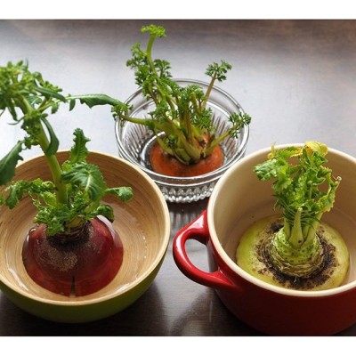 出典元：Pinterest