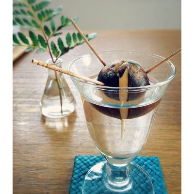 出典元：Instagram