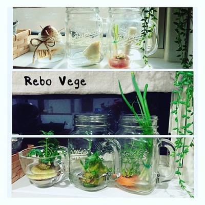 出典元：Instagram