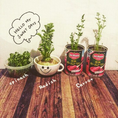 出典元：Instagram