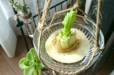 Photo by con.さん @GreenSnap