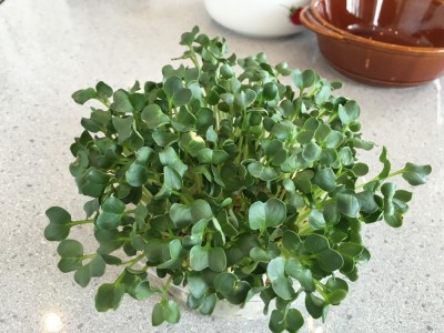 Photo by Jerry_CHOOさん @GreenSnap