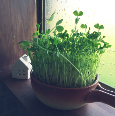 出典元：Pinterest