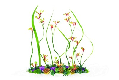 36-1-さしかえ-デジカメ