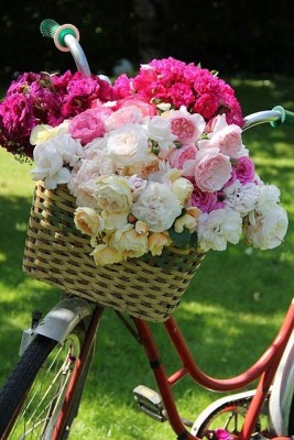 3029e146c647edf7c0618bb61ad692a2