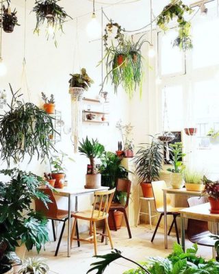 bd0d97a3620b3a7edcd7347ab968c3a7