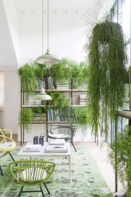 お部屋のジャングル化計画 してみませんか グリーンでいっぱいにするステキな実例集まとめ Greensnap グリーンスナップ