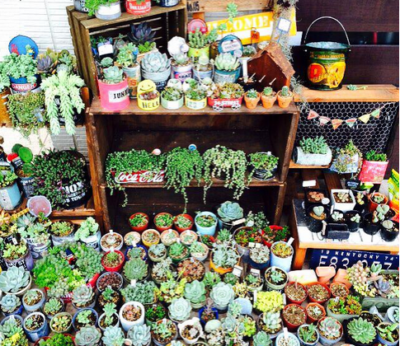 スクリーンショット 2016-05-27 12.03.01