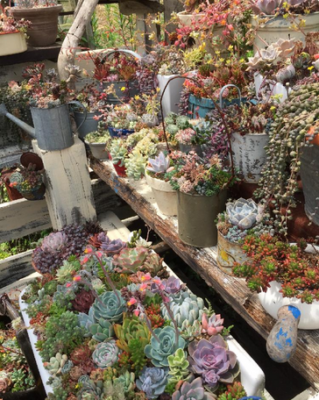 スクリーンショット 2016-05-27 15.22.43