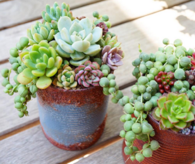 スクリーンショット 2016-07-06 5.57.41