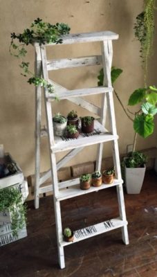 445fe5f47717f5f0c51104a7e91e6ac4