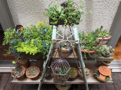 スクリーンショット 2016-07-27 23.24.42