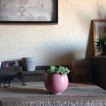 Photo by hittonさん@GreenSnap