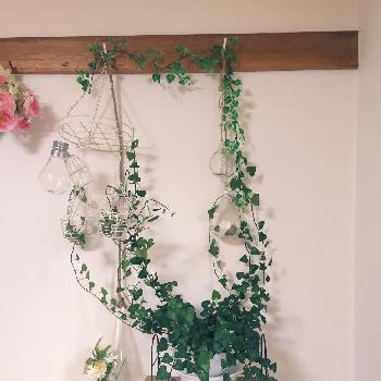 Photo by ちゃみさん@GreenSnap