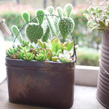 Photo by keitanさん@GreenSnap