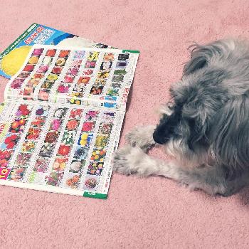 Photo by るあはなさん@GreenSnap