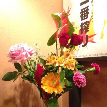 Photo by ハチクロさん@GreenSnap 