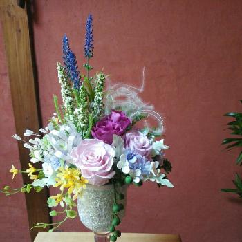 Photo by hana356さん@GreenSnap 