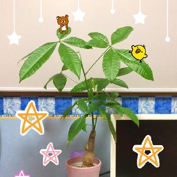 Photo by みなみさん@GreenSnap