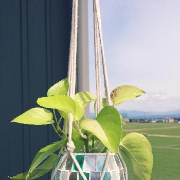 Photo by kgnさん@GreenSnap