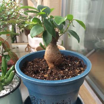 Photo by 小鶴さん@GreenSnap