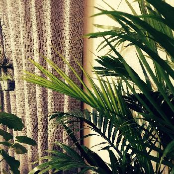 Photo by CUさん@GreenSnap