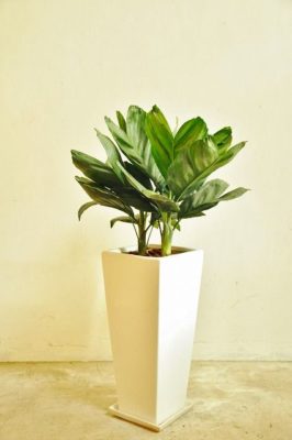 出典元：Pinterest