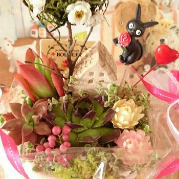 Photo by *かのん*さん@GreenSnap