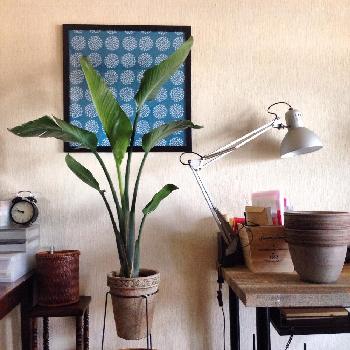 Photo by hittonさん@GreenSnap