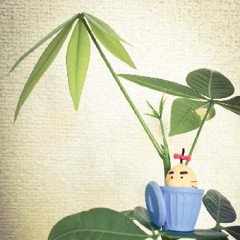 Photo by ゆみこさん@GreenSnap