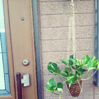 Photo by fuwari*22さん@GreenSnap