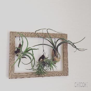 Photo by ちっちさん@GreenSnap