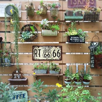 1463119267093_thum_1463119266531_thum_tmp