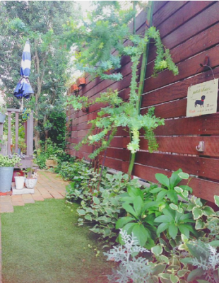 スクリーンショット 2016-08-31 9.28.31