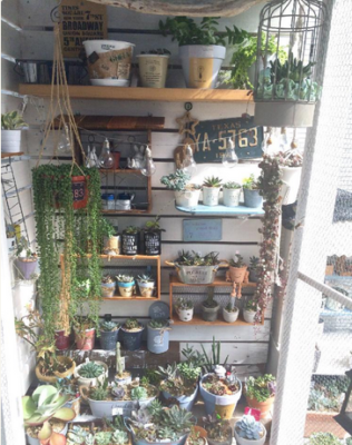 スクリーンショット 2016-08-31 11.02.58