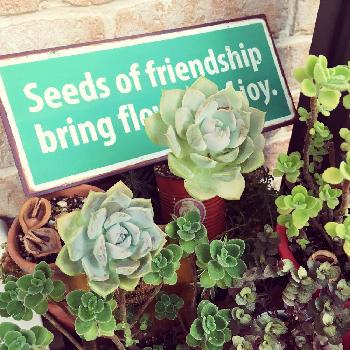 1472564009548_thum_1472564009029_thum_tmp