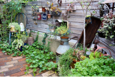 スクリーンショット 2016-08-31 11.11.04