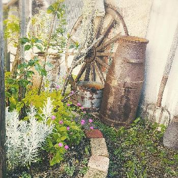 1471994888235_thum_1471994887802_thum_sample