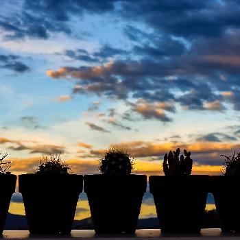 Photo by 774さん@GreenSnap