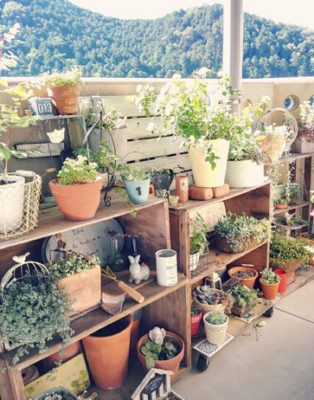 スクリーンショット 2016-08-31 11.41.40