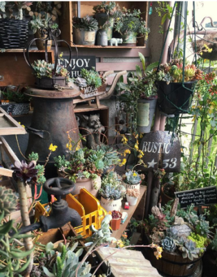 スクリーンショット 2016-08-31 11.51.39