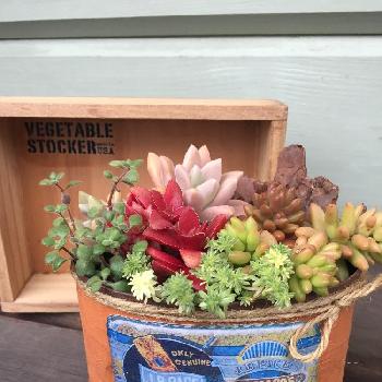 Photo by pakoさん@GreenSnap