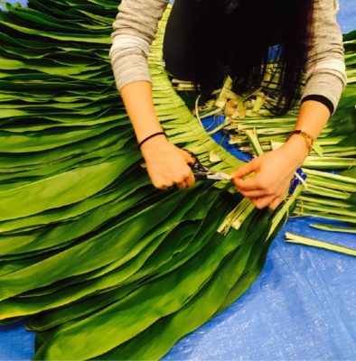 Photo by moanaさん@GreenSnap