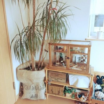 出典元：Pinterest