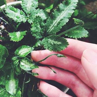 出典元：Instagram