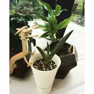 出典元：Instagram