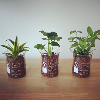 出典元：Instagram