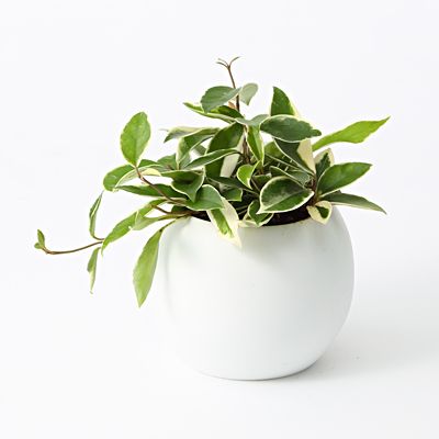 出典元：Pinterest