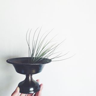 出典元：Instagram