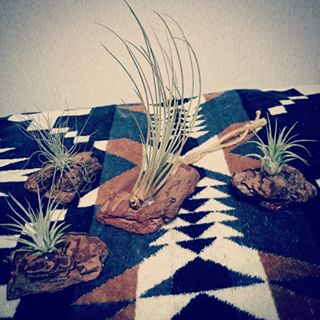 出典元：Instagram